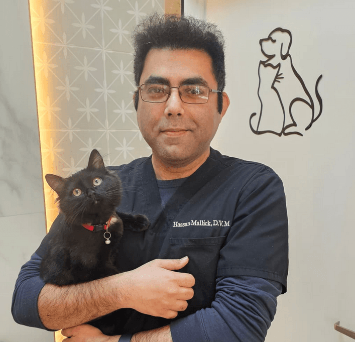 Dr. H. Mallick with a patient at Walnut Valley Animal Hospital