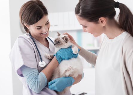 Walnut Valley Animal Hospital | Veterinarian in Rowland Heights, CA